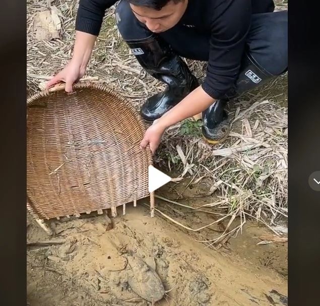 VIDEO – A văzut ceva ciudat pe fundul unui pârâu mic de munte. Fabulos ce a putut să scoată cu ajutorul unui simplu coș de nuiele