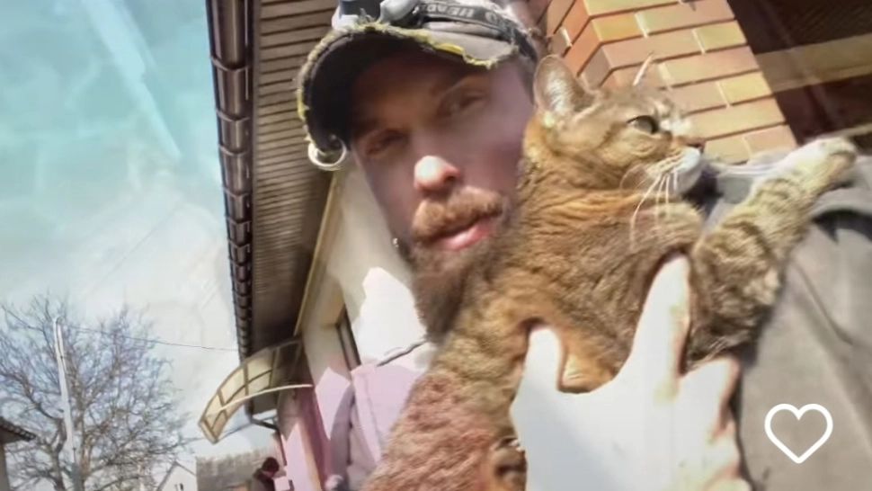 Actor ucrainean, erou pentru pisicile abandonate din cauza bombardamentelor - VIDEO