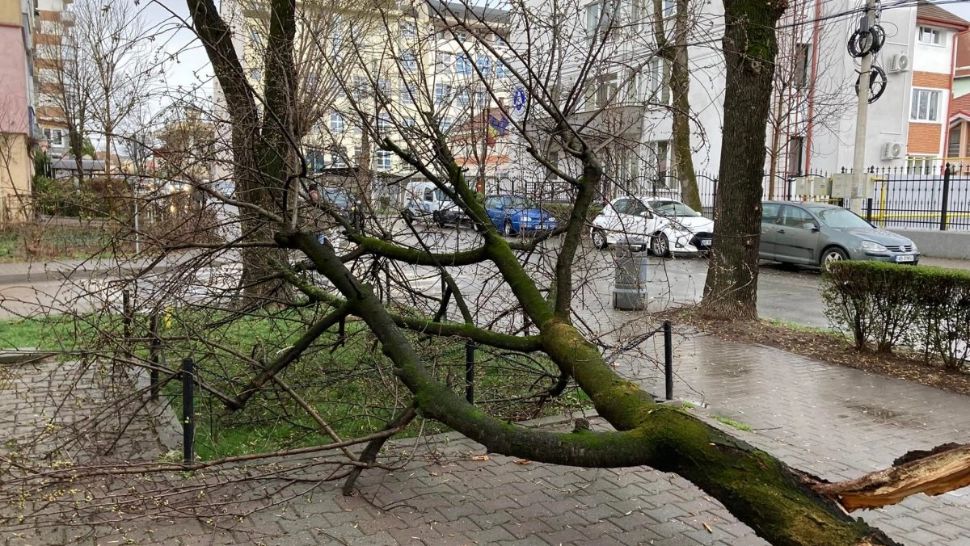 FOTO + VIDEO Vijelia a făcut ravagii în țară. Stâlpi şi copaci doborâţi, maşini şi ţevi de gaze avariate
