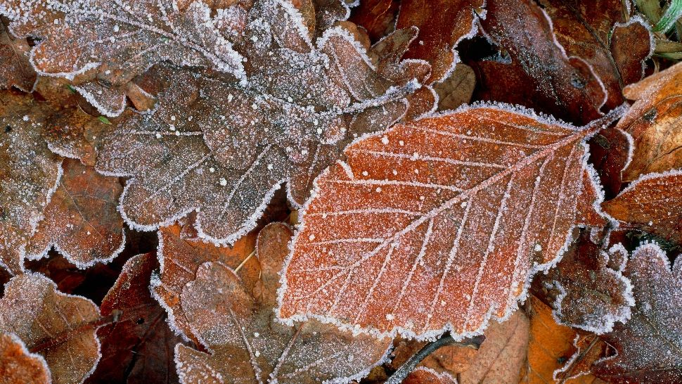 Avertisment de la meteorologi. Vreme deosebit de rece în toată țara