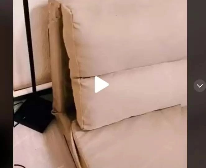 VIDEO – Se auzea un zgomot ciudat de sub canapea. Când a ridicat perina și a văzut ce mișună acolo, a fost înduioșat