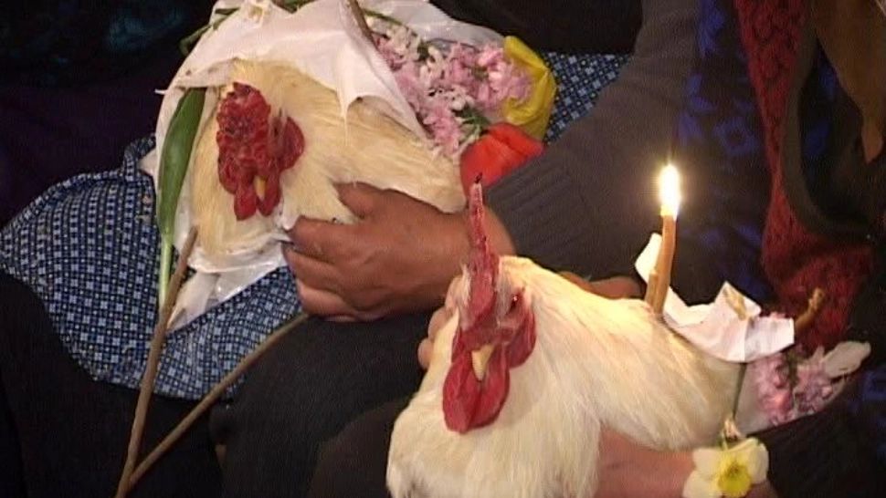 Motivul bizar pentru care românii duc cocoși albi la slujba de Înviere - Tradiția ciudată care se mai păstrează și în zilele noastre