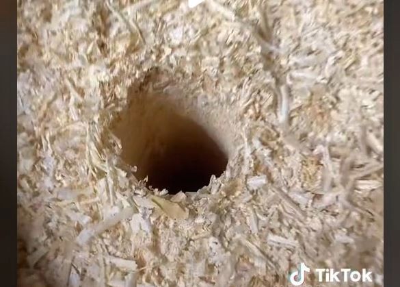 VIDEO – Experimentul inedit al unui român – A făcut o gaură în mijlocului unui butoi plin de rumeguș – La ce folosește