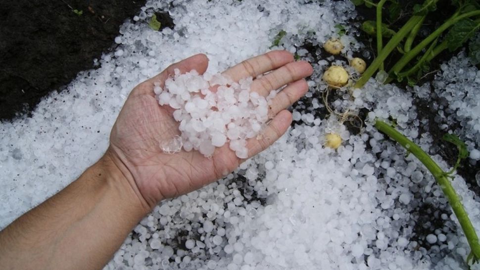 VIDEO Grindină și zăpada în județul Vrancea, în ajunul Paștelui