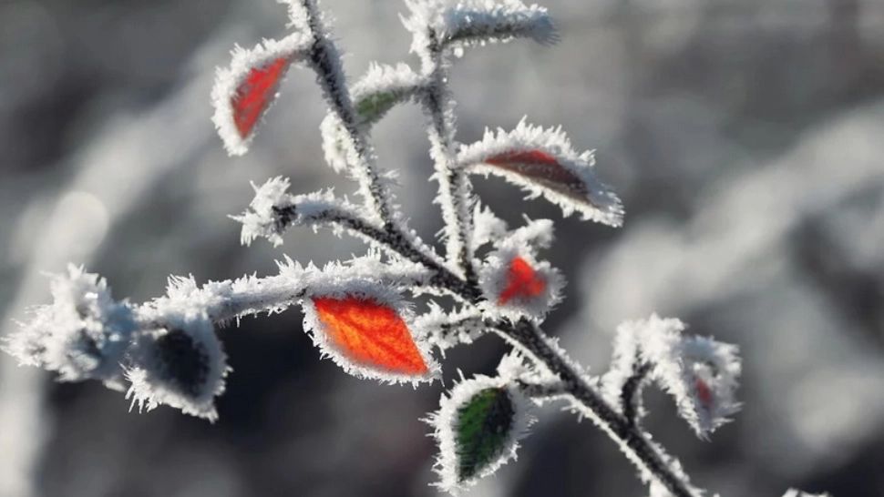 Temperaturi sub 0 grade, în România. Orașul în care s-au înregistrat temperaturi de iarnă - 2,5 grade azi-noapte