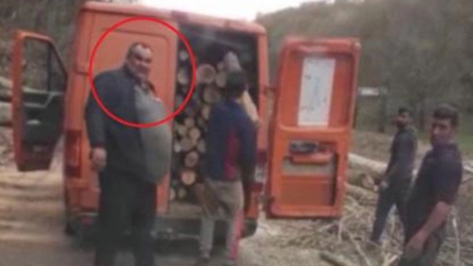 Imagini revoltătoare, surprinse într-o pădure din Bihor. Primar filmat în timp ce fura lemne cu duba