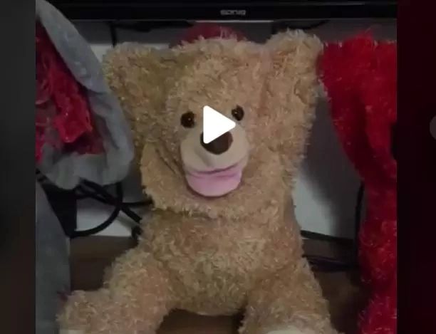 VIDEO – Jucării îngrozitoare cumpărate de părinți – Nu se așteptau să aibă această funcție terifiantă pentru copii