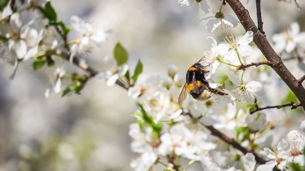 Vremea extremelor - fenomene periculoase, în România. Când se încălzește - temperaturi de 24 de grade 