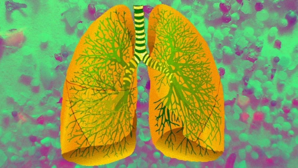 Ceaiul minune care curăță plămânii imediat. Este foarte bun pentru fumători
