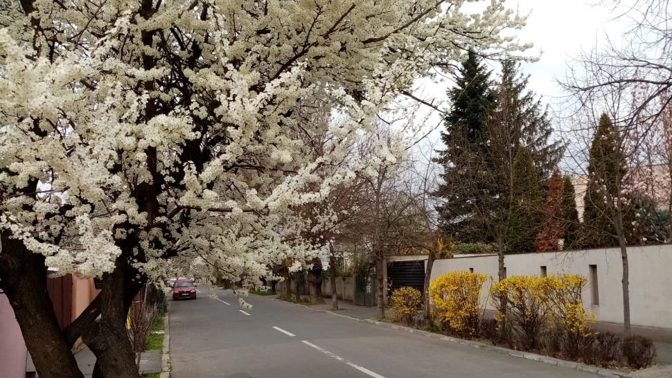 Prognoza meteo pe o lună. Cum va fi vremea de 1 Mai și când vom simți că a venit primăvara