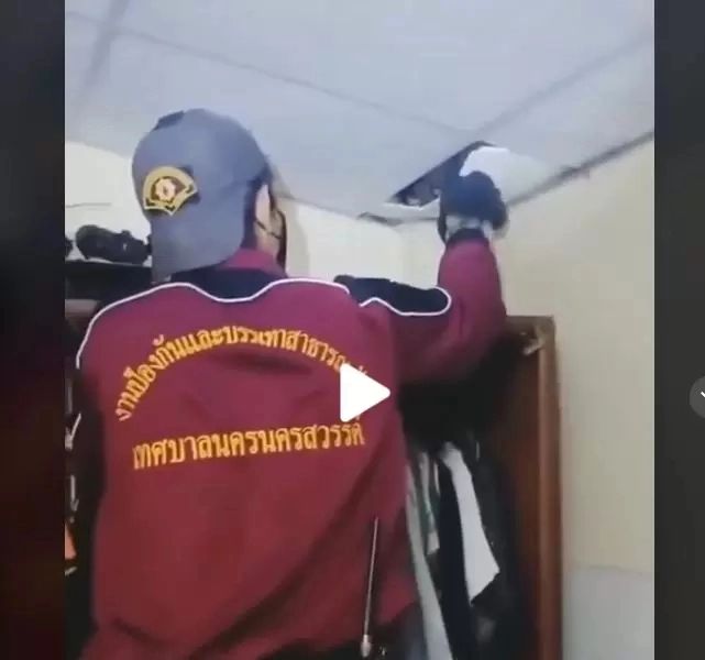 VIDEO – Când a văzut ce se află în tavan, a chemat Poliția de urgență – Coșmarul a devenit realitate – Totul a fost filmat