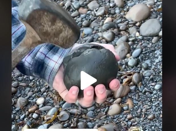 VIDEO – A spart o piatră și ce a găsit în interior are o vechime de 180 de milioane de ani – Clipul care a uimit internetul