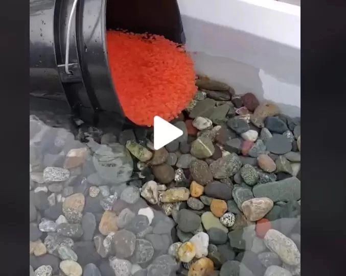 VIDEO – Zeci de milioane de vizualizări – Clipul care a uimit internetul – Abia la sfârșit înțelegi ce se întâmplă