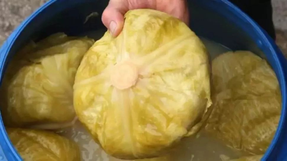 VIDEO - Ce a putut să ascundă un român, la graniță, în butoiul cu varză murată