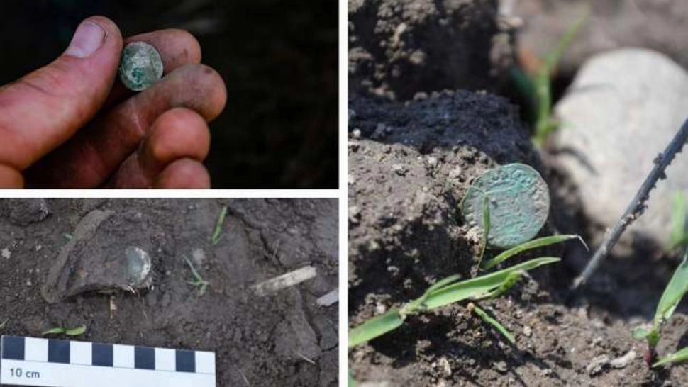 Peste 400 de monede de argint, din secolul al XVI-lea, descoperite pe un câmp din Timiș, cu un detector de metale