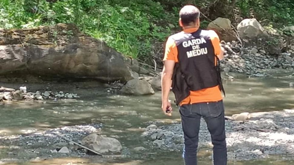 Sute de pești găsiți morți în albia unui râu din Buzău - VIDEO