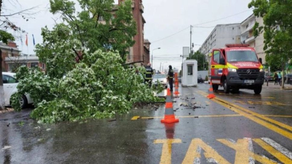 Un copac s-a PRĂBUȘIT în centrul Ploieștiului: o femeie a fost rănită și o mașină a fost avariată