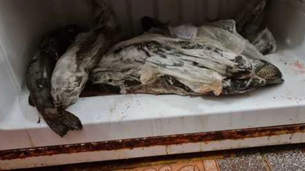 Un restaurant din Galați, închis temporar de ANPC și amendat cu 30.000 de lei – Val de nereguli 