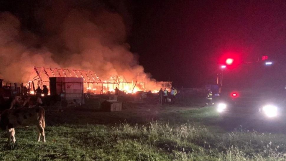 Incendiu violent la o fermă din Botoșani. Focul ar fi fost provocat intenționat - FOTO