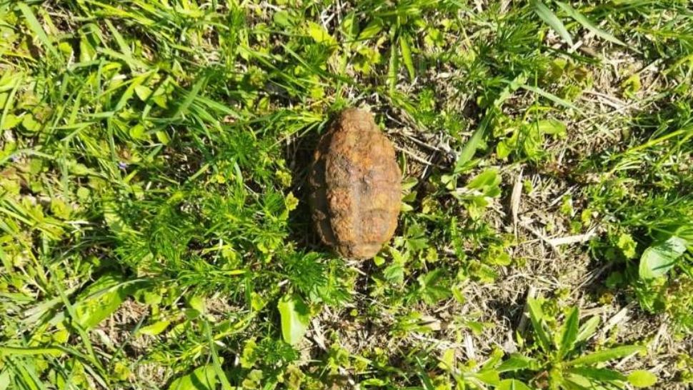 Grenadă în stare de funcţionare, descoperită în curtea unei familii din Botoșani. Putea exploda la orice atingere mecanică