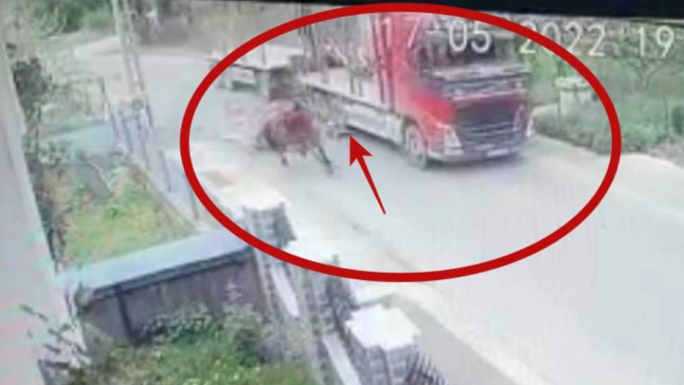 Accident spectaculos între o căruță și un camion - Video cu momentul impactului