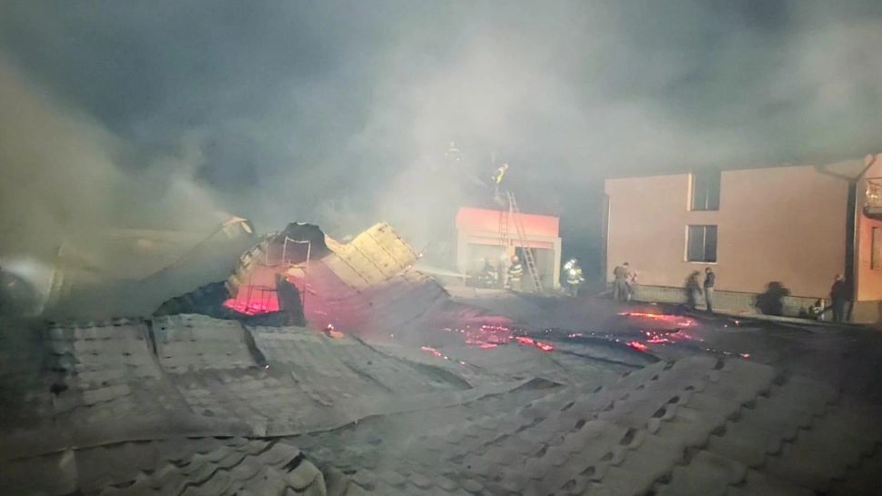 Mii de păsări AU ARS DE VII într-un incendiu la Arad. Imagini înfiorătoare