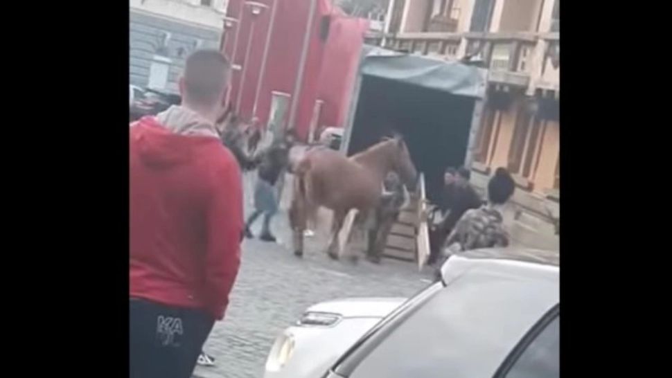 Incident revoltător: Cal bătut la parada junilor din Brașov. Polițiștii fac cercetări