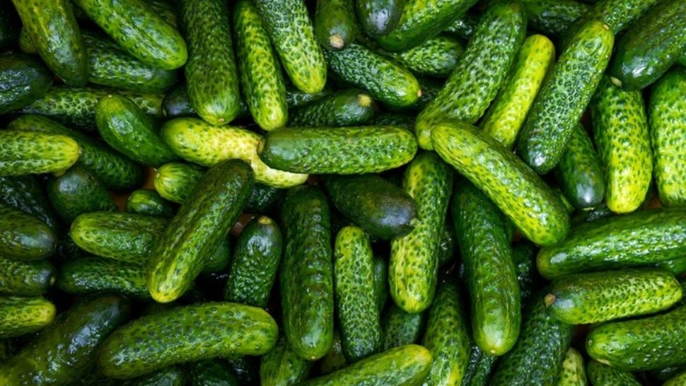 Nu mai consuma niciodată castraveți dacă suferi de una din aceste boli