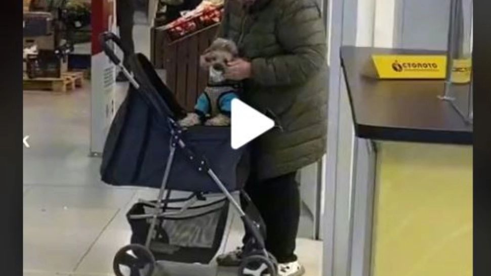 VIDEO – Imagini uluitoare filmate într-un mall – Ce a putut să-i facă o bătrână unui biet cățel: “Doamne, mare ți-e grădina”