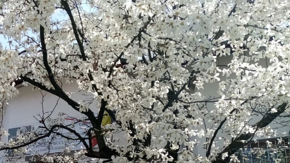 Prognoza METEO pe o lună. Vreme capricioasă în ultima lună de primăvară