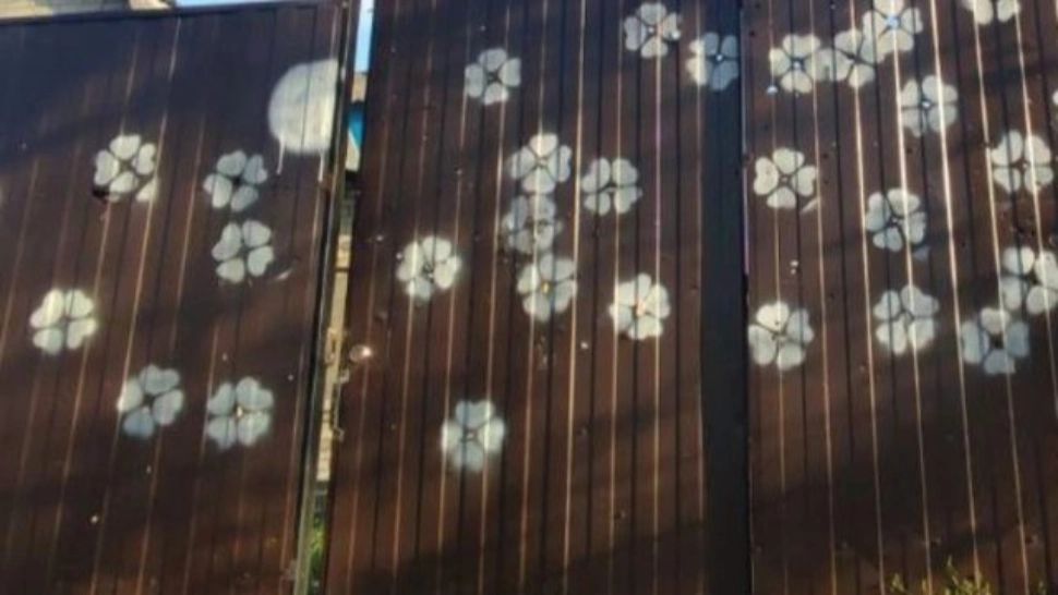 FOTO | Ucrainenii din Hostomel au desenat flori în jurul găurilor lăsate de gloanțele rușilor