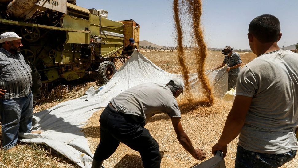 Porturile de la Dunăre, prea scumpe pentru exportatorii ucraineni de cereale. „Tarifele s-au dublat în ultimele 2 luni”