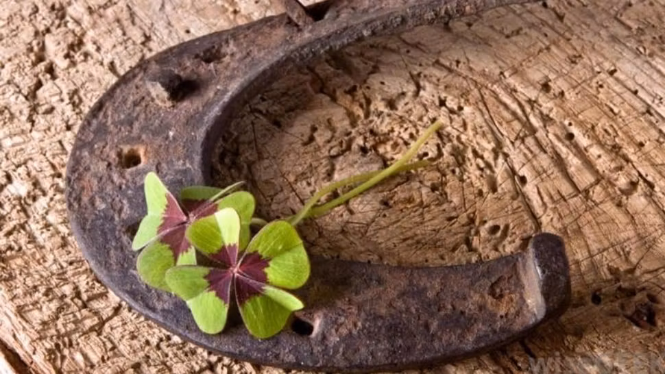 Horoscop 14 mai. Zodia care începe să-și rotunjească veniturile. Succes fantastic!