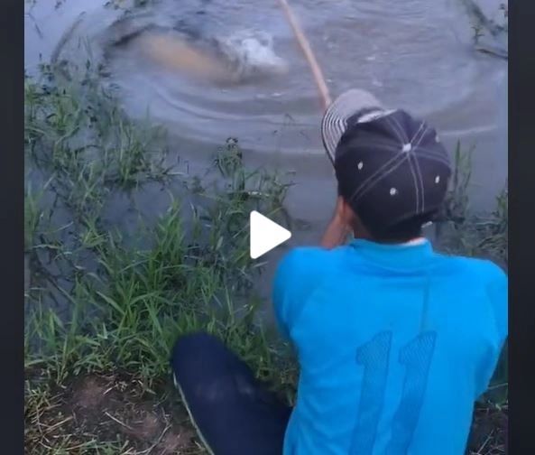 VIDEO – Stătea liniștit pe marginea bălții, la pescuit, când un monstru l-a tras în apă și era să moară înecat