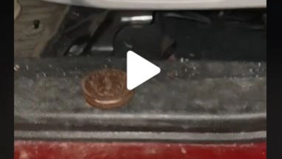 VIDEO – A pus un biscuit pe pragul mașinii și ceva fabulos s-a întâmplat – Imaginile au devenit virale