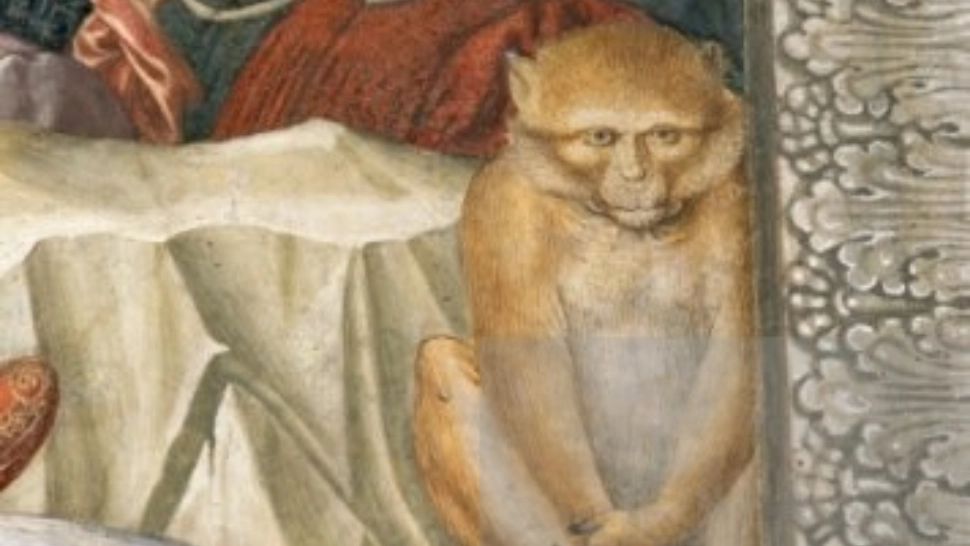 Alertă în întreaga lume din cauza variolei maimuței. Decizie drastică în Statele Unite