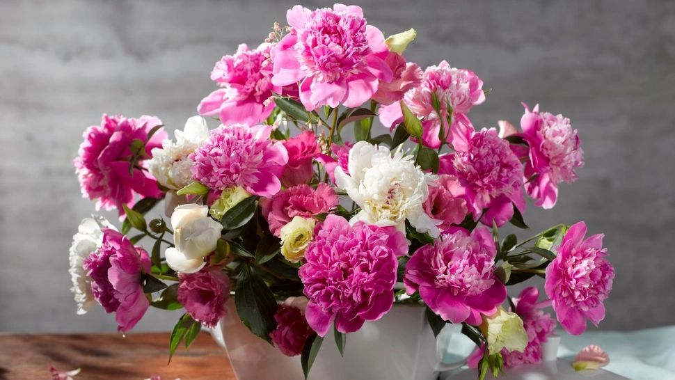 Cum se îngrijeşte corect un buchet de bujori ca să reziste cât mai mult în vază