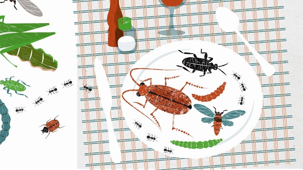 Lăcustele și viermii de făină, introduși în meniul unor școli britanice