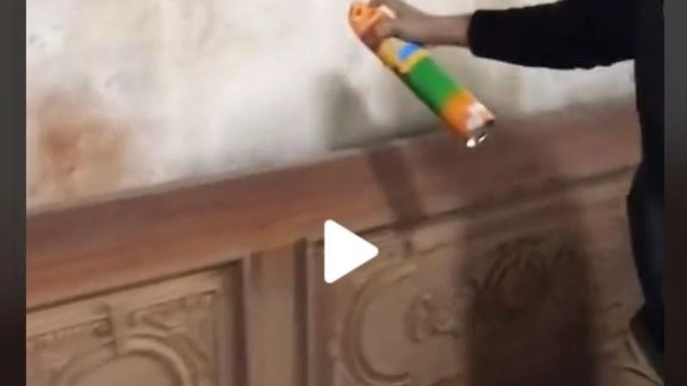 VIDEO – A văzut un gândac pe perete și s-a gândit să dea cu spray – Ce a urmat este îngrozitor