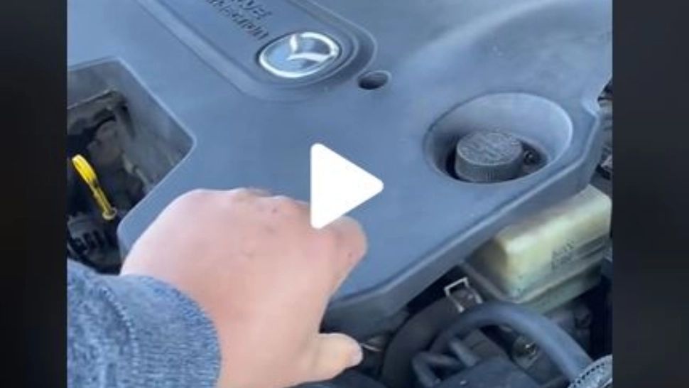 VIDEO – A ridicat capota să verifice motorul și când a văzut ce se ascundea acolo, a început să țipe de frică