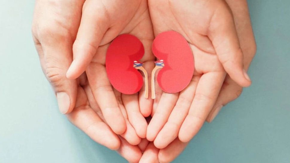 Biserica Ortodoxă Română  susține donarea de organe și transplantul. "Biserica nu poate încuraja negativismul nejustificat"