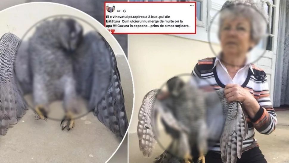 A omorât un ULIU prorejat de lege, s-a lăudat pe Facebook - ce a urmat