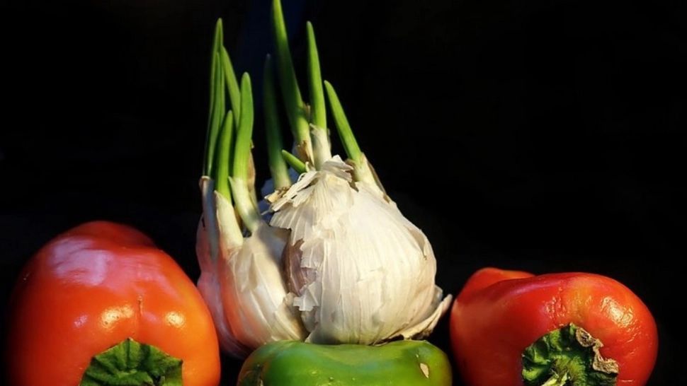 De ce nu ar trebui să arunci niciodată usturoiul încolțit - balsam pentru organism 