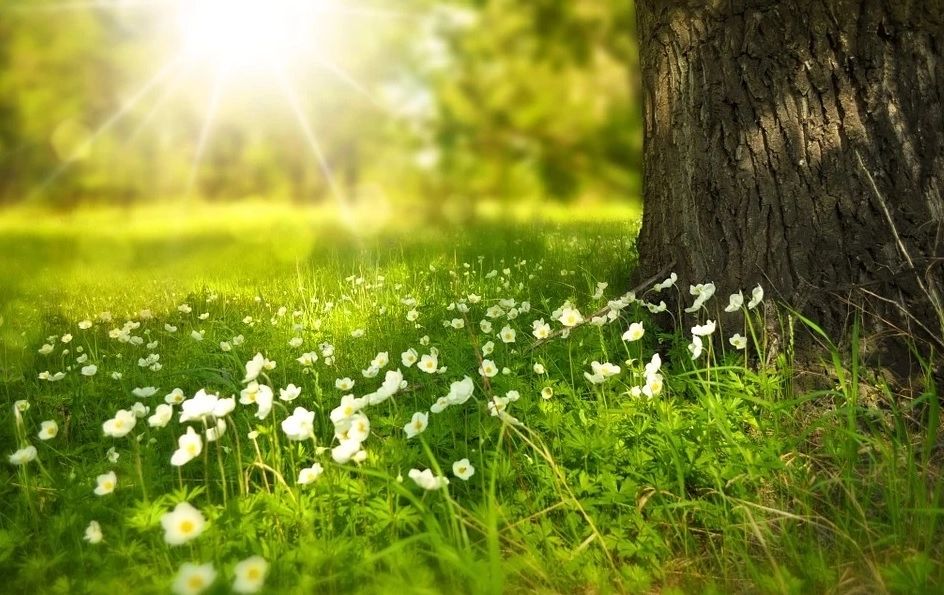 Prognoza meteo iunie 2022. Cum va fi vremea în prima lună de vară