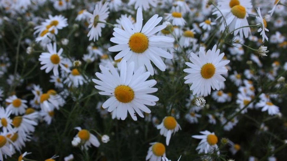 Schimbări radicale ale vremii - prognoza meteo pe o lună: cum va fi vremea până pe 20 iunie 