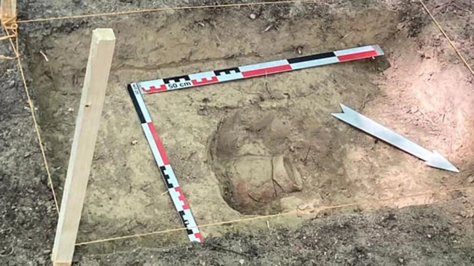 Căutător de comori, descoperire fabuloasă, în Mureș: tezaur de peste 2.000 de ani - incredibil ce a scos din pământ - FOTO