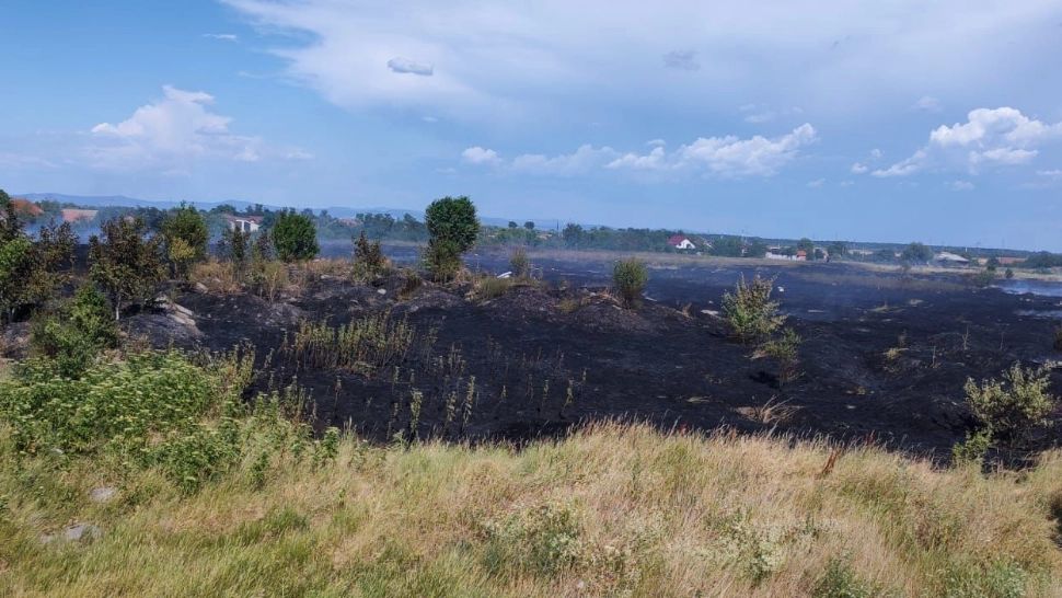 Incendiu de vegetație, în Arad: zeci de oameni evacuați
