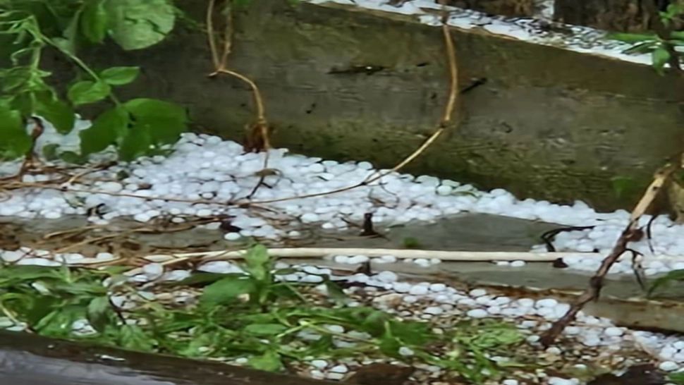 Grindina a făcut prăpăd în Dâmbovița. Culturile sunt distruse