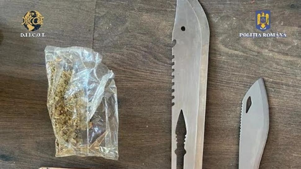 Percheziții la o grupare infracțională care procura și vindea droguri de risc și mare risc: 28 de persoane duse la audieri