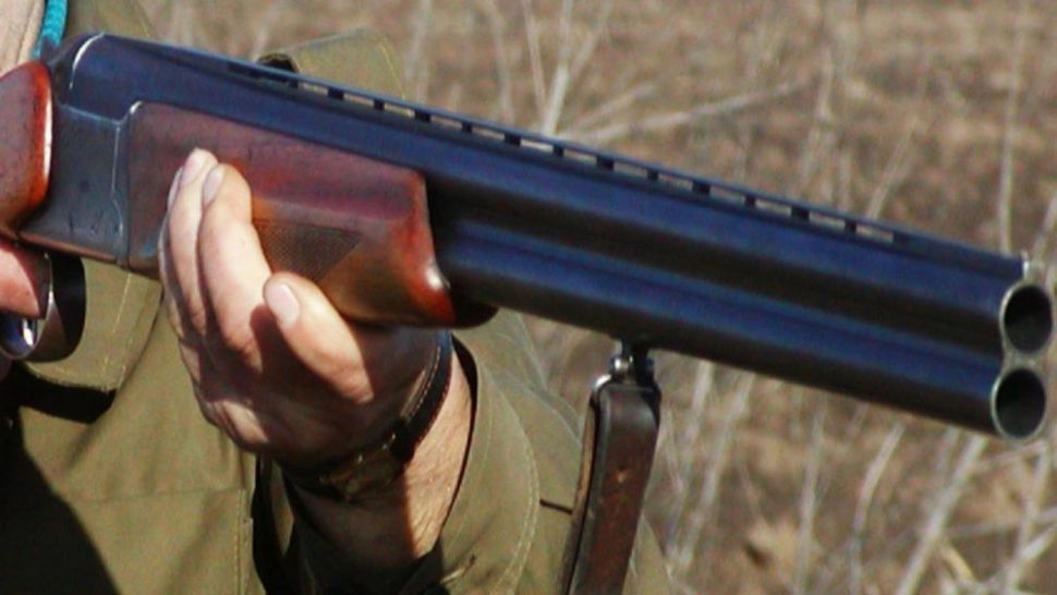 Câine fără stăpân, ÎMPUȘCAT fără milă în mijlocul străzii: CE au descoperit polițiștii care anchetează cazul